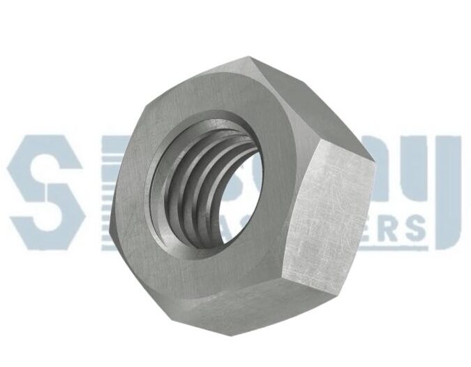 High Quality Stainless Steel Hex Nut Manufacturer Supplier and Stockist in India