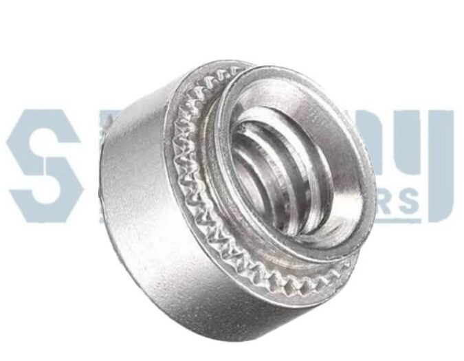 Stainless Steel Clinch Nut Manufacturer Supplier and Stockist in India